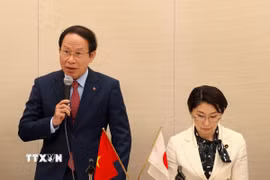 Phó Thủ tướng Lê Tiến Châu phát biểu tại buổi làm việc với Liên minh Nghị sỹ hữu nghị Nhật Bản-Việt Nam. (Ảnh: Bùi Hà/TTXVN)