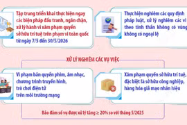 Ra quân ngăn chặn, xử lý hành vi xâm phạm quyền sở hữu trí tuệ trên toàn quốc