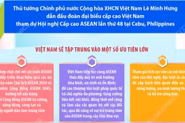 Việt Nam có nhiều đóng góp thiết thực vào thành công của ASEAN