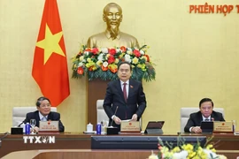 Chủ tịch Quốc hội Trần Thanh Mẫn phát biểu khai mạc Phiên họp. (Ảnh: Doãn Tấn/TTXVN)