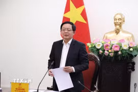 Phó Thủ tướng Chính phủ Hồ Quốc Dũng phát biểu tại cuộc làm việc. (Ảnh: TTXVN phát)