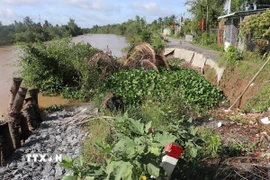 Một điểm sạt lở bờ sông. (Ảnh: Minh Trí/TTXVN)