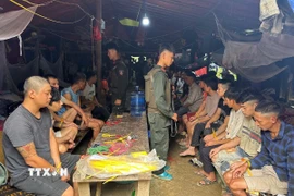 Lực lượng chức năng Công an tỉnh Sơn la khống chế, bắt giữ các đối tượng khai thác vàng trái phép. (Ảnh: TTXVN phát)