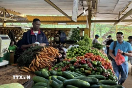 Rau, củ, quả được bày bán ở một chợ nông sản tại thủ đô La Habana. (Ảnh: Việt Hùng/TTXVN)