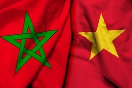 Điện mừng kỷ niệm 65 năm thiết lập quan hệ ngoại giao Việt Nam-Maroc