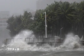 Sóng biển dâng cao khi bão Matmo đổ bộ vào Hải Khẩu, tỉnh Hải Nam, Trung Quốc ngày 5/10. (Ảnh: THX/TTXVN)