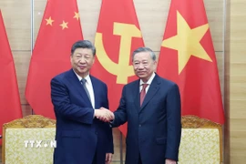 Tổng Bí thư Tô Lâm và Tổng Bí thư, Chủ tịch nước Trung Quốc Tập Cận Bình. (Ảnh: Thống Nhất/TTXVN)
