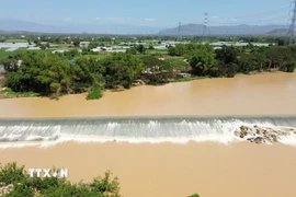 Đập Nha Trinh xây dựng trên sông Cái Phan Rang (xã Mỹ Sơn, Khánh Hòa) thể hiện tư duy “dẫn thủy nhập điền” độc đáo của người Chăm xưa. (Ảnh: Nguyễn Thành/TTXVN)