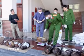 Ảnh minh họa. (Ảnh: TTXVN phát)