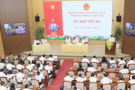 Quang cảnh kỳ họp. (Ảnh: Đinh Thùy/TTXVN)