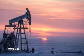 Một giàn khoan dầu tại khu vực Almetyevsk, Nga. (Ảnh: TASS/TTXVN)