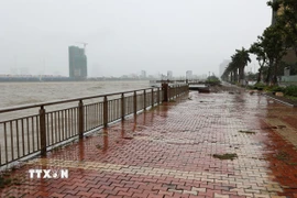 Nước sông Hàn dâng cao và sóng lớn, cao hơn 3m liên tục đánh mạnh vào bờ kè. (Ảnh: Anh Dũng/TTXVN)