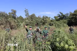 Bộ đội Biên phòng tổ chức đi tuần tra bảo vệ biên giới. (Ảnh: Vũ Sinh/TTXVN)
