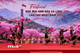 Nhiều tiết mục văn nghệ mang đậm bản sắc văn hóa trong Lễ hội hoa mai anh đào. (Ảnh: TTXVN phát)