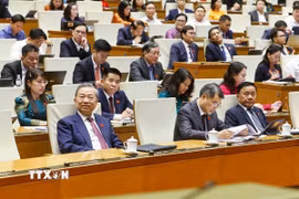 Tổng Bí thư, Chủ tịch nước Tô Lâm cùng các đồng chí lãnh đạo Đảng, Nhà nước dự phiên họp. (Ảnh: Doãn Tấn/TTXVN)