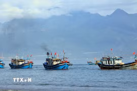 Thuyền đánh bắt thủy sản của ngư dân. (Ảnh: Trần Lê Lâm/TTXVN)