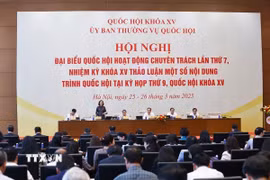 Quang cảnh hội nghị. (Ảnh: Doãn Tấn/TTXVN)