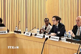 Đại sứ Đỗ Hùng Việt chủ trì Hội nghị tham vấn dành cho các nước thành viên khu vực châu Phi của Hiệp ước Không phổ biến vũ khí hạt nhân (NPT) tháng 11/2025. (Ảnh: TTXVN phát)