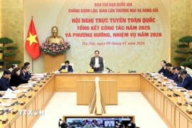 Phó Thủ tướng Bùi Thanh Sơn phát biểu chỉ đạo. (Ảnh: An Đăng/TTXVN)