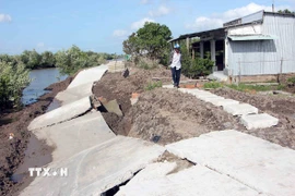 Một đoạn đường bêtông trên tuyến Kênh Mới thuộc ấp Thanh Tùng bị sạt lở. (Ảnh: Trung Kiên/TTXVN)