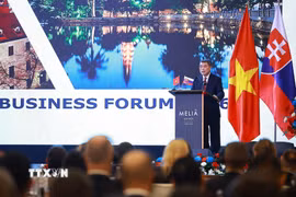 Thủ tướng Lê Minh Hưng phát biểu tại Diễn đàn doanh nghiệp Slovakia-Việt Nam năm 2026. (Ảnh: Dương Giang/TTXVN)