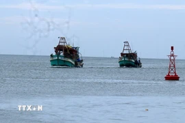 Ảnh minh họa. (Ảnh: Lê Huy Hải/TTXVN)