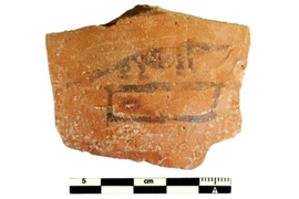 Hình vẽ một con chuột chù, loài vật linh thiêng của thần Haroeris. (Nguồn: Dự án Tübingen Athribis)