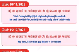 Thủ tướng yêu cầu sắp xếp, bố trí cán bộ, công chức đúng vị trí việc làm