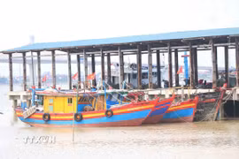 Tàu thuyền trú ẩn tránh bão. (Ảnh: Công Tường/TTXVN)