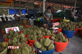 Sầu riêng được bày bán tại tỉnh Chanthaburi. (Ảnh: AFP/TTXVN)