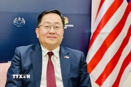 Đại sứ Malaysia tại Việt Nam Dato' Tan Yang Thai. (Ảnh: Việt Đức/TTXVN)