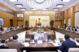 Quang cảnh phiên họp. (Ảnh: Doãn Tấn/TTXVN)