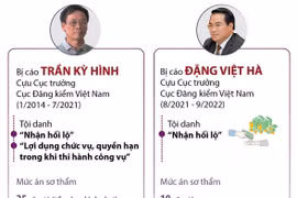 Hai cựu Cục trưởng Cục Đăng kiểm Việt Nam cùng 123 bị cáo được giảm án tù