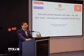 Phó Thủ tướng Chính phủ Nguyễn Văn Thắng nhấn mạnh quan hệ Việt Nam-Hà Lan đang phát triển hết sức tích cực và thực chất, đặc biệt trong các lĩnh vực kinh tế, thương mại và đầu tư. (Ảnh: Anh Hiển/TTXVN)