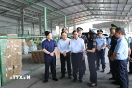 Phó Thủ tướng Bùi Thanh Sơn thị sát khu bốc dỡ hàng hóa xuất nhập khẩu trong khu vực Cửa khẩu Quốc tế Hữu Nghị (Lạng Sơn). (Ảnh: Quang Duy/TTXVN)