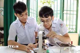 Học sinh lớp 11, trường THPT Lê Quý Đôn trong tiết học thực hành Sinh học (Thành phố Hồ Chí Minh). (Ảnh: Phương Vy/TTXVN)