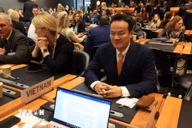 Đại sứ Mai Phan Dũng, Trưởng Phái đoàn thường trực Việt Nam tại Geneva tham dự sự kiện. (Ảnh: Anh Hiển/TTXVN)