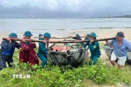 Lực lượng chức năng phường Hải Vân giúp ngư dân đưa thuyền thúng lên bờ tránh bão. (Ảnh: TTXVN phát)