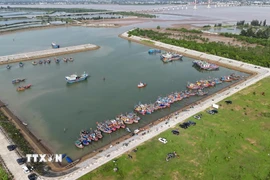 Khu neo đậu tránh trú bão Cửa Hội (xã Đan Hải, Hà Tĩnh) hiện có hàng trăm tàu thuyền đã vào neo đậu. (Ảnh: Hữu Quyết/TTXVN)