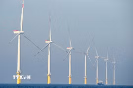 Các turbin gió tại khu vực ngoài khơi ở Heligoland, Đức. (Ảnh: AFP/TTXVN)
