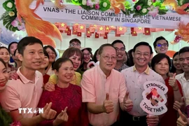 Bộ trưởng Bộ Nhân lực Singapore Tan See Leng (áo trắng, giữa) tại gian hàng của cộng đồng người Việt Nam. (Ảnh: Đỗ Vân/TTXVN)