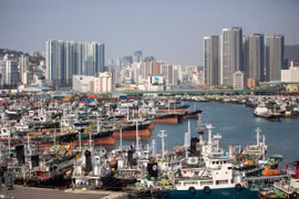 Quang cảnh cảng hàng hóa ở Busan, Hàn Quốc. (Ảnh: THX/TTXVN)