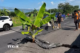 Một đoạn đường bị nứt sau động đất tại tỉnh Nam Cotabato, Philippines ngày 8/6. (Ảnh: THX/TTXVN)