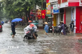 (Ảnh minh họa: Minh Quyết/TTXVN)