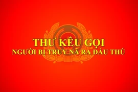 Vụ 15 bị can rửa tiền, chiếm đoạt tài sản: Kêu gọi Hồ Quốc Anh đầu thú