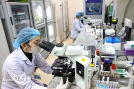Nghiên cứu khoa học tại Bệnh viện Nội tiết Trung ương. (Ảnh: Thanh Tùng/TTXVN)