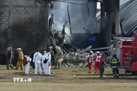 Lực lượng chức năng làm nhiệm vụ tại hiện trường vụ rơi máy bay ở bang Estado de México, Mexico. (Ảnh: THX/TTXVN)