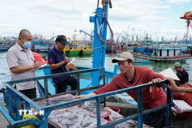 Giám sát thủy sản đánh bắt tại Cảng cá Quy Nhơn. (Ảnh: Đình Quân/TTXVN)