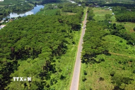 Sử dụng đất rừng để thực hiện thi công cao tốc. (Ảnh: TTXVN phát)