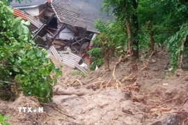 Hiện trường vụ lở đất ở huyện Kandy, Sri Lanka. (Ảnh: THX/TTXVN)